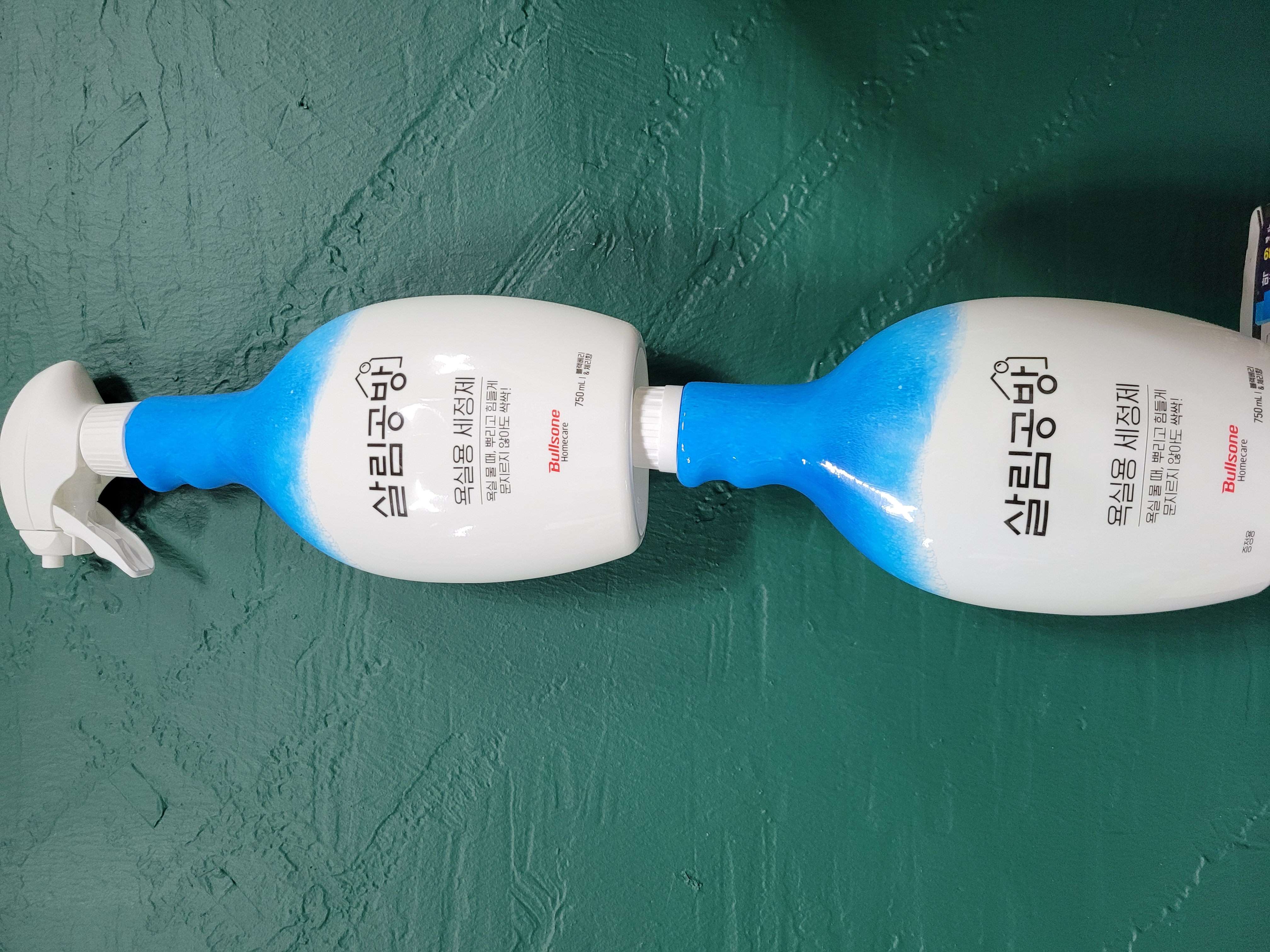 곰팡이 제거제와 함께