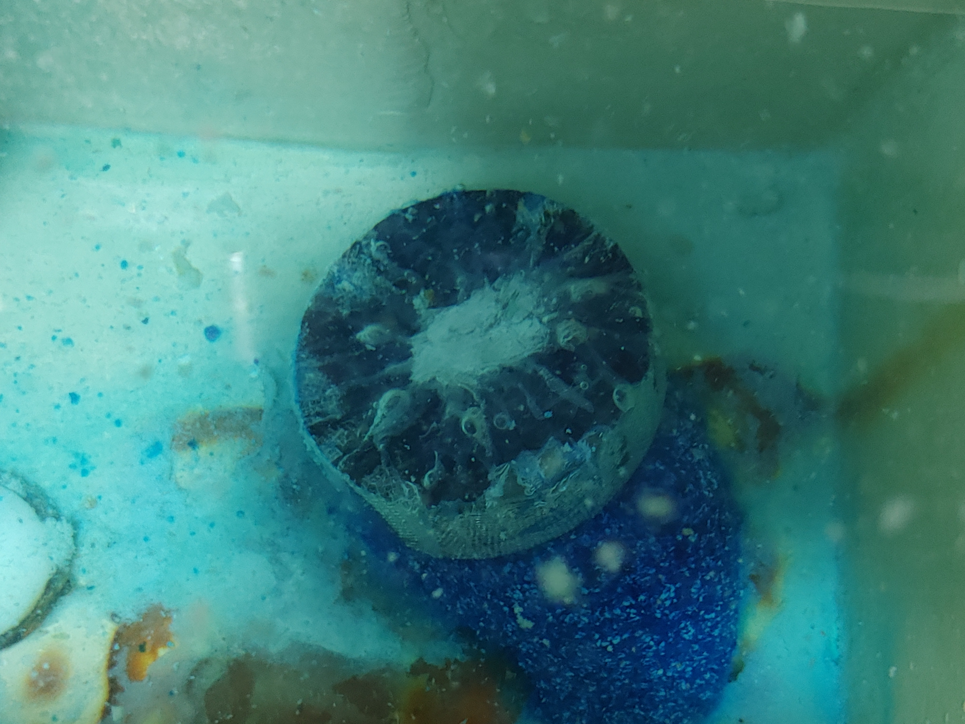 변기 세정제 추천 합니다.