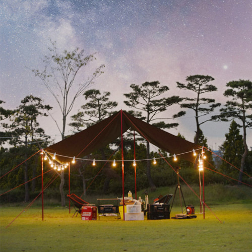 스노우아울 블랙 에디션 타프