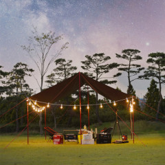 스노우아울 블랙 에디션 타프