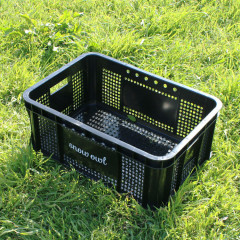 스노우아울 멀티 캐리박스